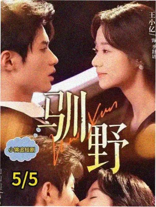 皆月剧集在线观看旧图纸海报